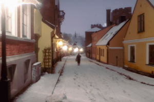 Winter in Lund 2024 - 2