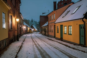 Winter in Lund 2024 - 3