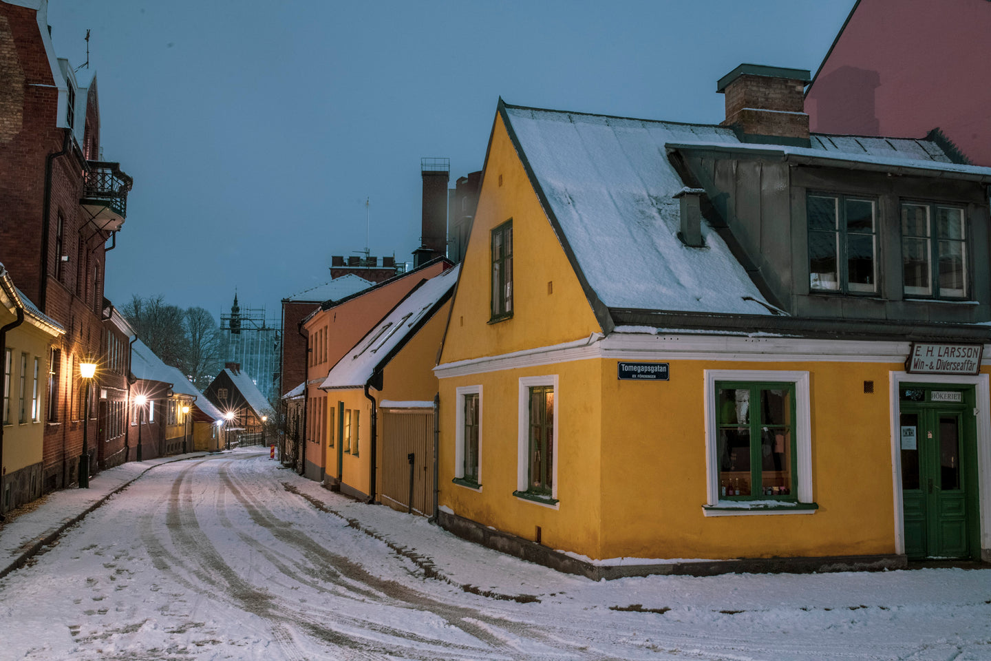 Winter in Lund 2024 - 4