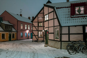 Winter in Lund 2024 - 5