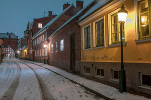 Winter in Lund 2024 - 6