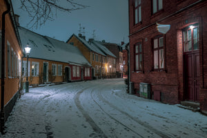 Winter in Lund 2024 - 7