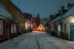 Winter in Lund 2024 - 8