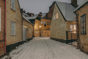 Winter in Lund 2024 - 13