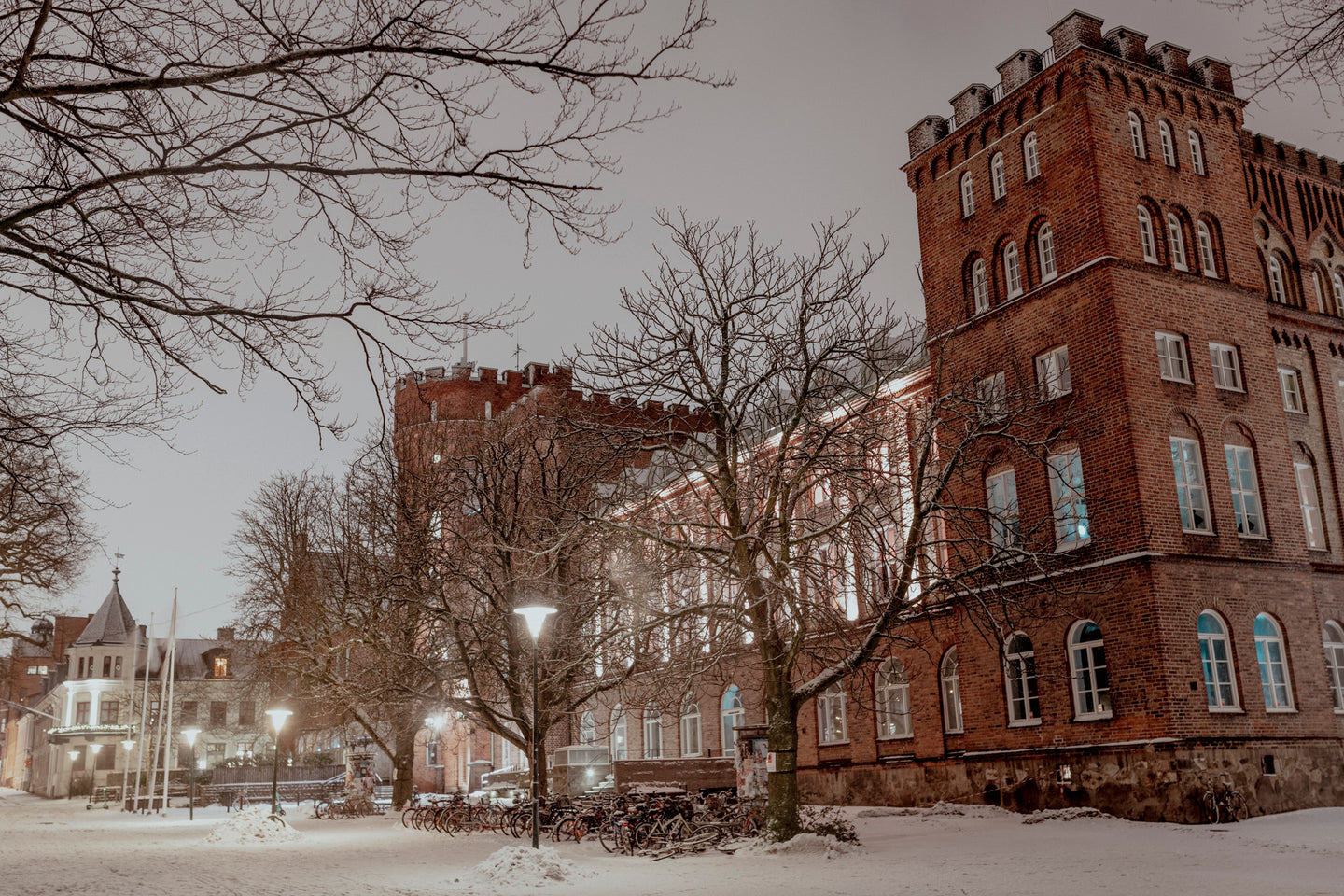 Winter in Lund 2024 - 14