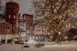 Winter in Lund 2024 - 11