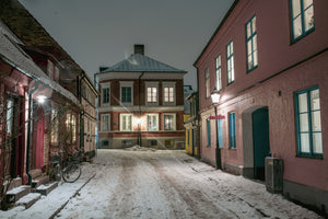 Winter in Lund 2024 - 12