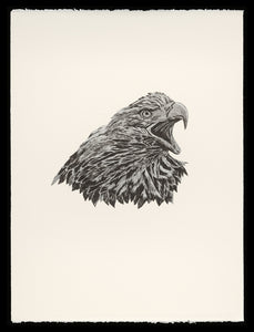 Eagle Head - Yuval Atzili