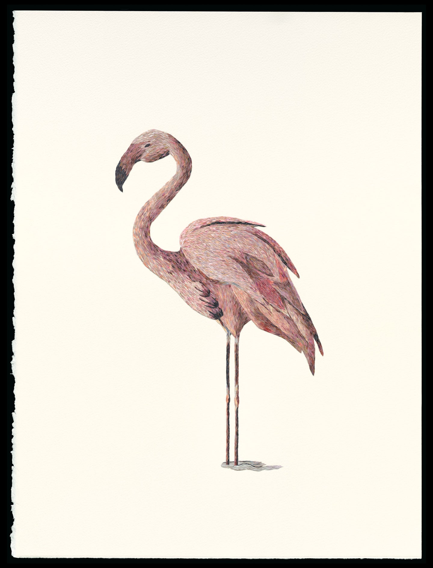 The Flamingo - Yuval Atzili
